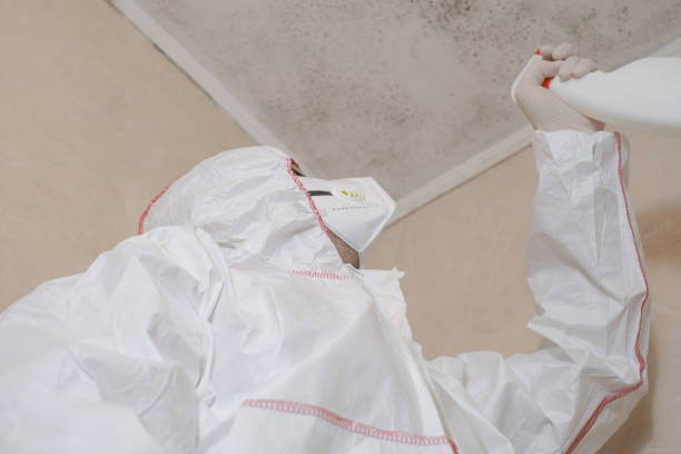 Best Black Mold Removal  in Westport, NC